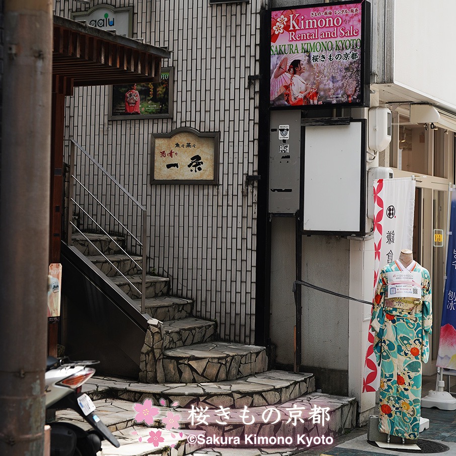 桜きもの京都の看板娘さくらこちゃん